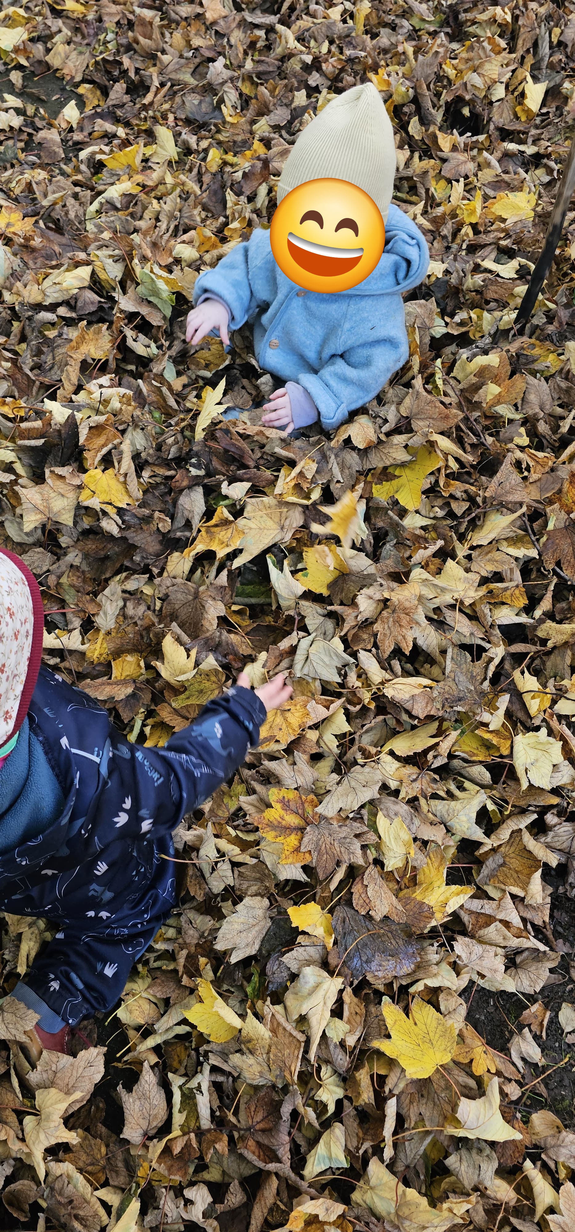 Kinder spielen in der Tagespflege Dortmund